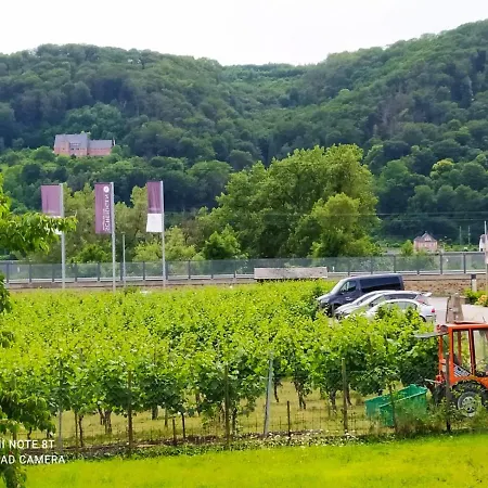 Апартаменты Haus Elfi