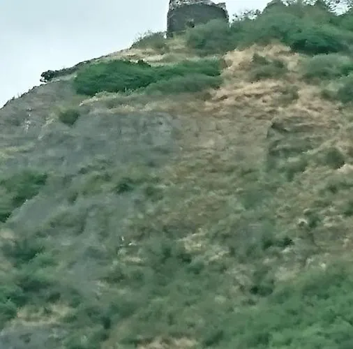 Apartamento Haus Elfi Hammerstein